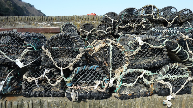 Lynmouth 3.JPG